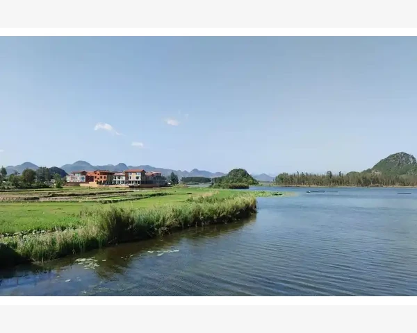 清热化痰：中医经典方剂助你重拾健康