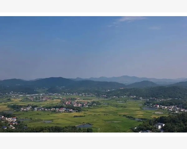 三伏贴：夏季养生良方，解暑消热的必备穴位指南